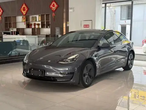 Tesla Model 3 2021 — фото 1