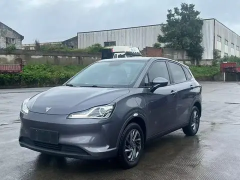 NETA V 2022