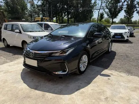 Toyota 亚洲狮 2021