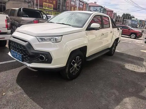 Jiangling 域虎7 2017