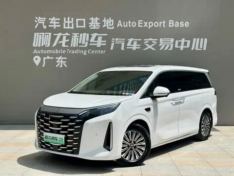 BYD 夏 2025