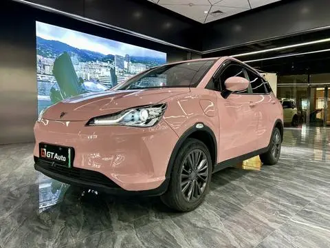 NETA V 2022