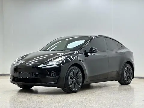Tesla Model Y 2021 — фото 1