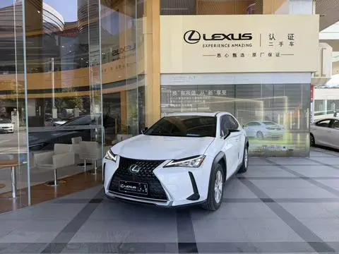 Lexus UX 2020 — фото 1