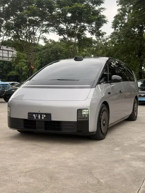 Li MEGA 2024