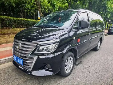 Forthing Lingzhi 2020