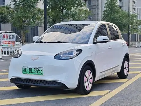 Wuling Bingo 2024
