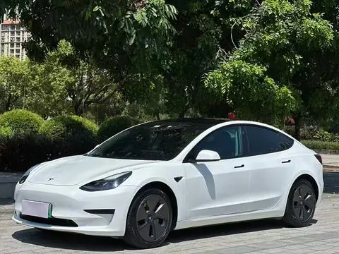 Tesla Model 3 2021 — фото 1