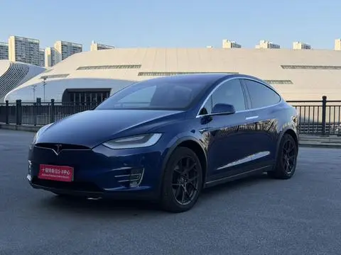 Tesla Model X 2019 — фото 1
