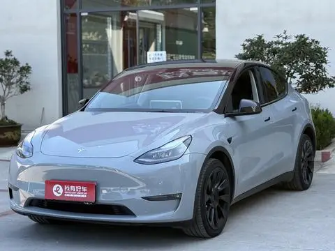 Tesla Model Y 2024 — фото 1