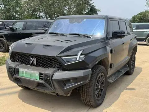 Mengshi 917 2023