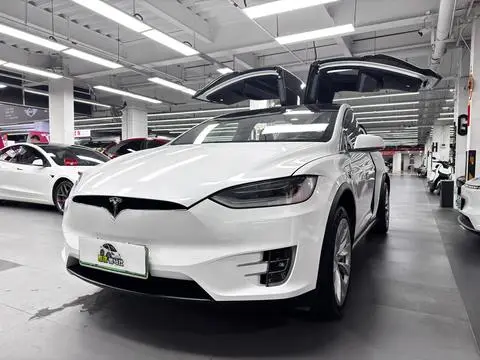 Tesla Model X 2020