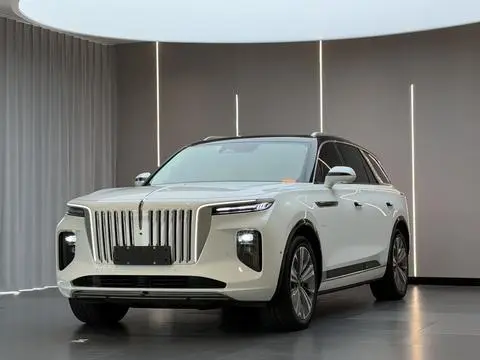 Hongqi E-HS9 2020
