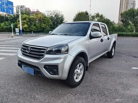Great Wall 风骏5 2020