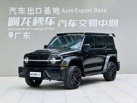 TANK 赛博坦克300 2023
