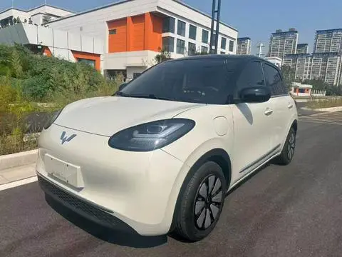 Wuling Bingo 2025