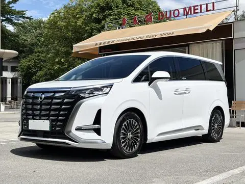 Denza D9 DM 2022