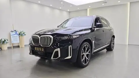 BMW X5 2023