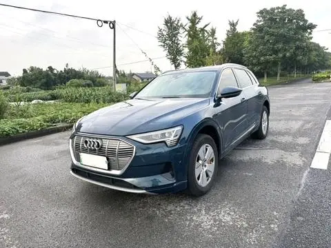 Audi e-tron 2019