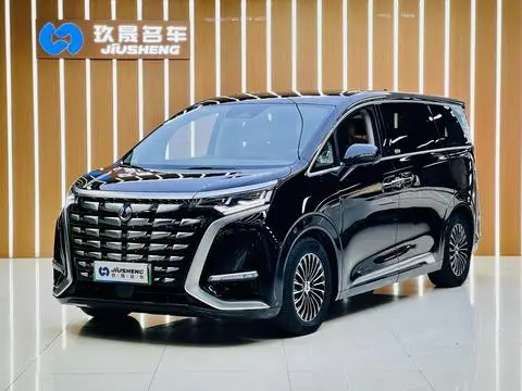 Denza D9 DM 2022