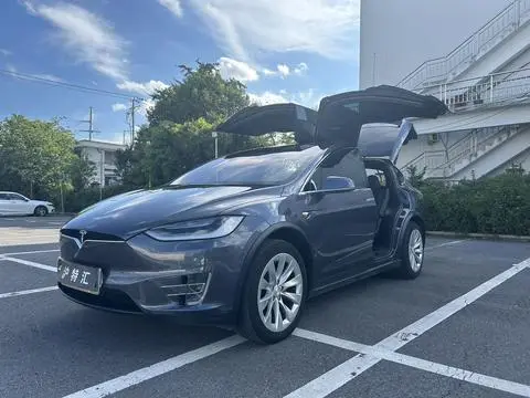 Tesla Model X 2019