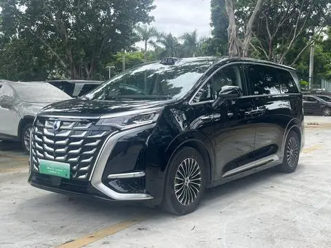Denza D9 DM 2025