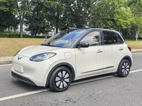 Wuling Bingo 2024