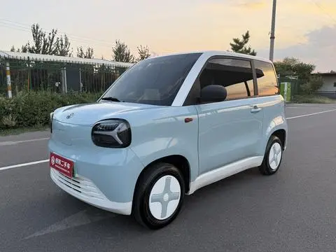 Zhidou 彩虹 2025