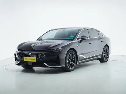Voyah 追光 PHEV 2024