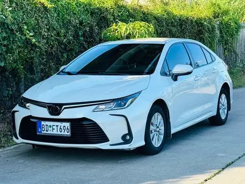Toyota Corolla 2019 — фото 1