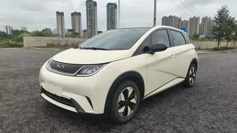 BYD Dolphin 2024