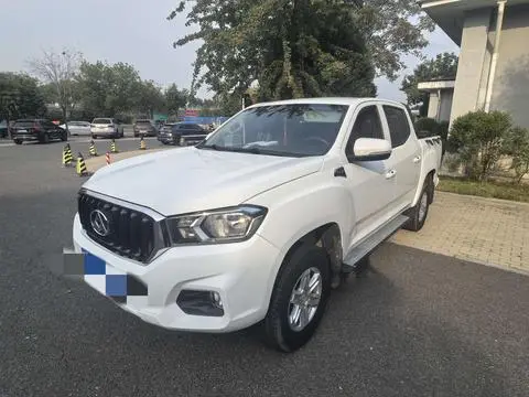 Maxus T60 2019