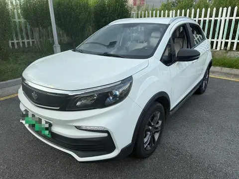 LIVAN (Ruilan) 枫叶30X 2020