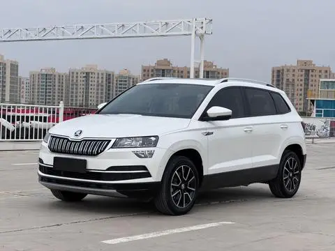 Skoda 柯珞克 2019 — фото 1