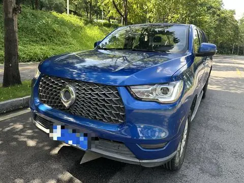 Great Wall 炮 2020