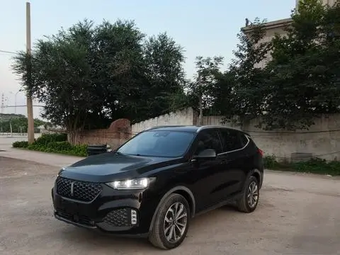 Wey VV6 2020