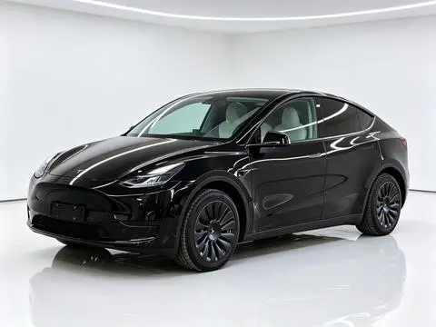 Tesla Model Y 2023 — фото 1