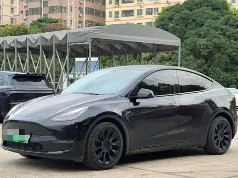 Tesla Model Y 2021 — фото 1