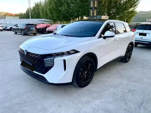 Venucia 大V 2023