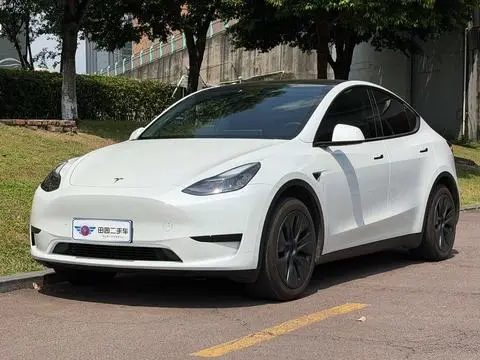 Tesla Model Y 2023 — фото 1