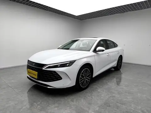 BYD 秦L DM 2024