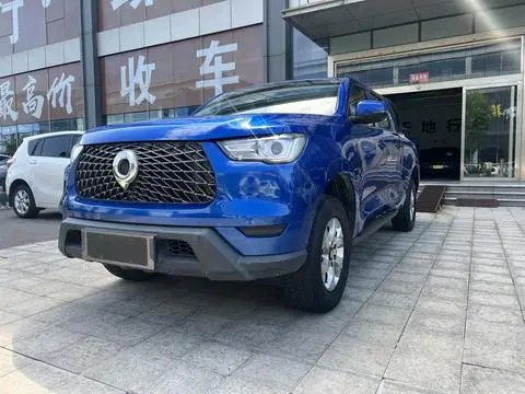 Great Wall 炮 2021