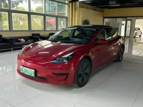 Tesla Model 3 2021 — фото 1