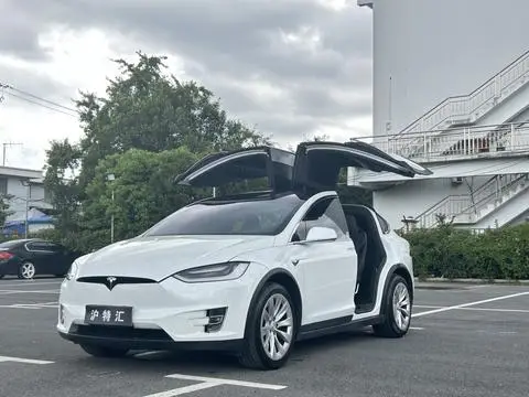 Tesla Model X 2019