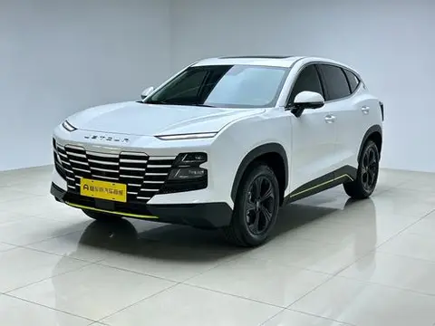 Jetour 大圣 2024