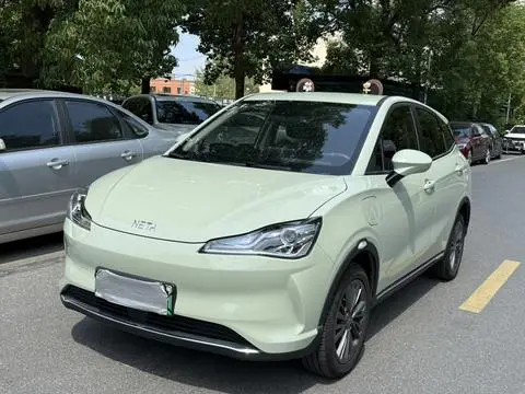 NETA V 2022