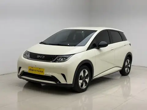 BYD Dolphin 2024