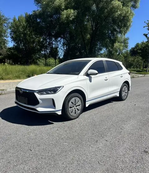 BYD e2 2021