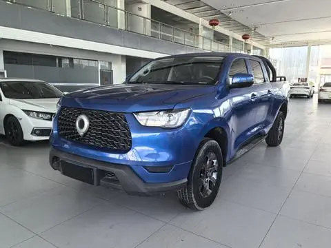 Great Wall 炮 2021