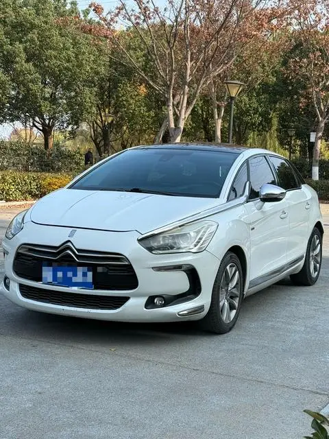 DS 5 2013